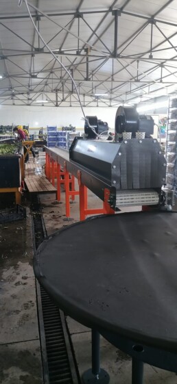 Sebze Meyve Kurutma Bandı 1